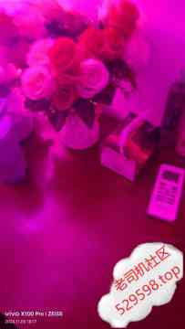 江南西人气服务牌丝丝