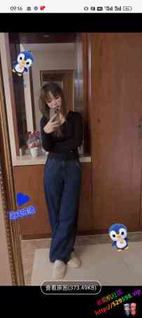 验证梅花园小五